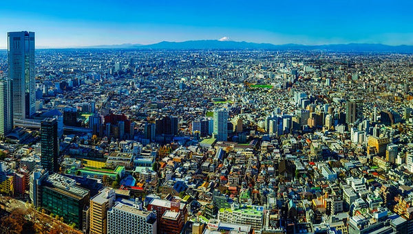 Tokyo Summer Olympics: the Year of the Female Athlete?
